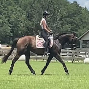 Meet your Posher, Shauna